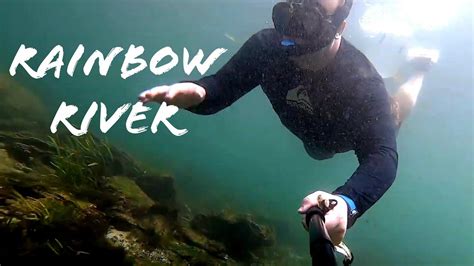 Marvel at the Underwater World with Magic River Goggles